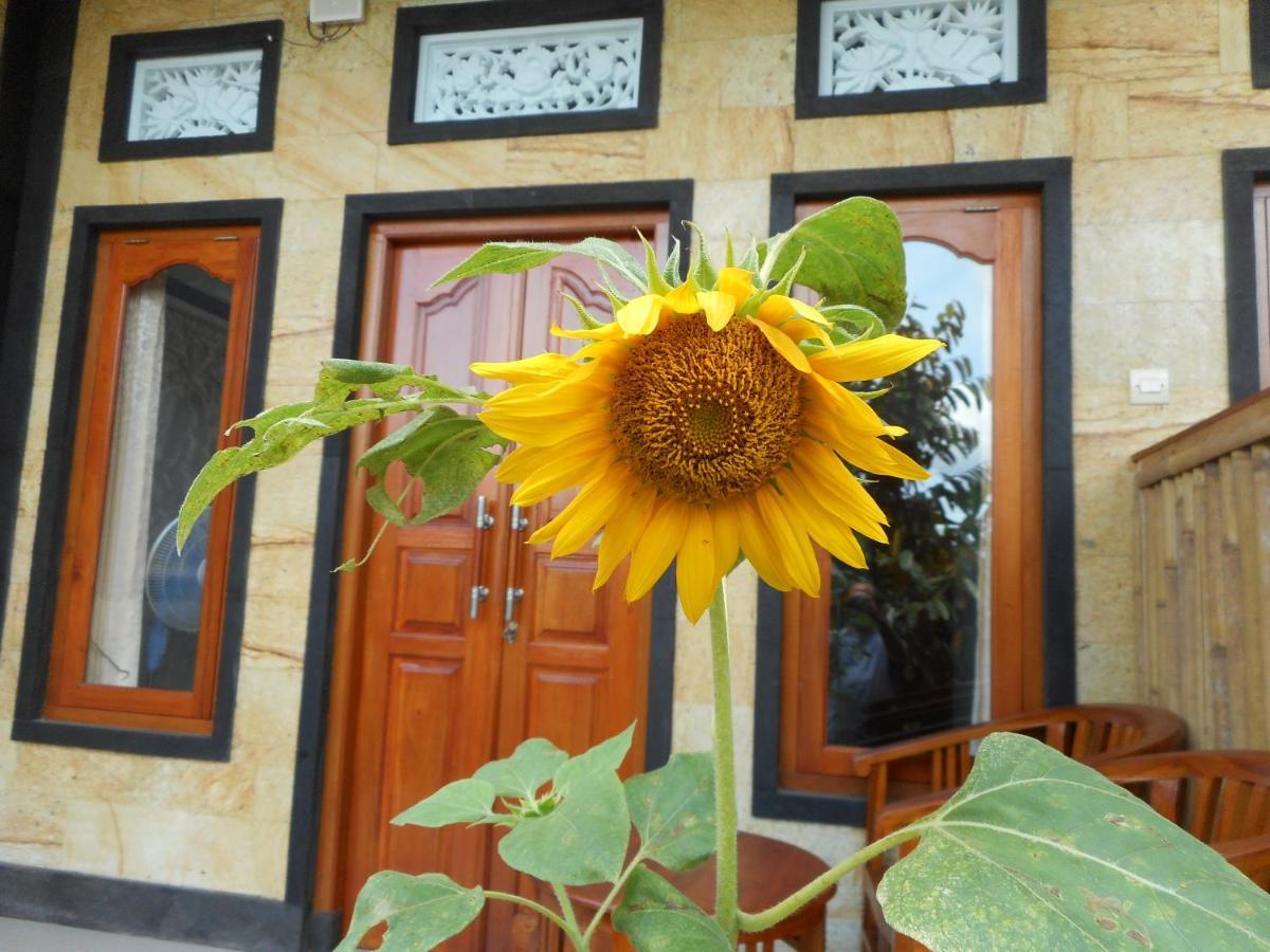 Ming Homestay Сидемен Экстерьер фото